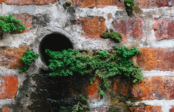 Breaking Down Brick Walls With Positive Energy