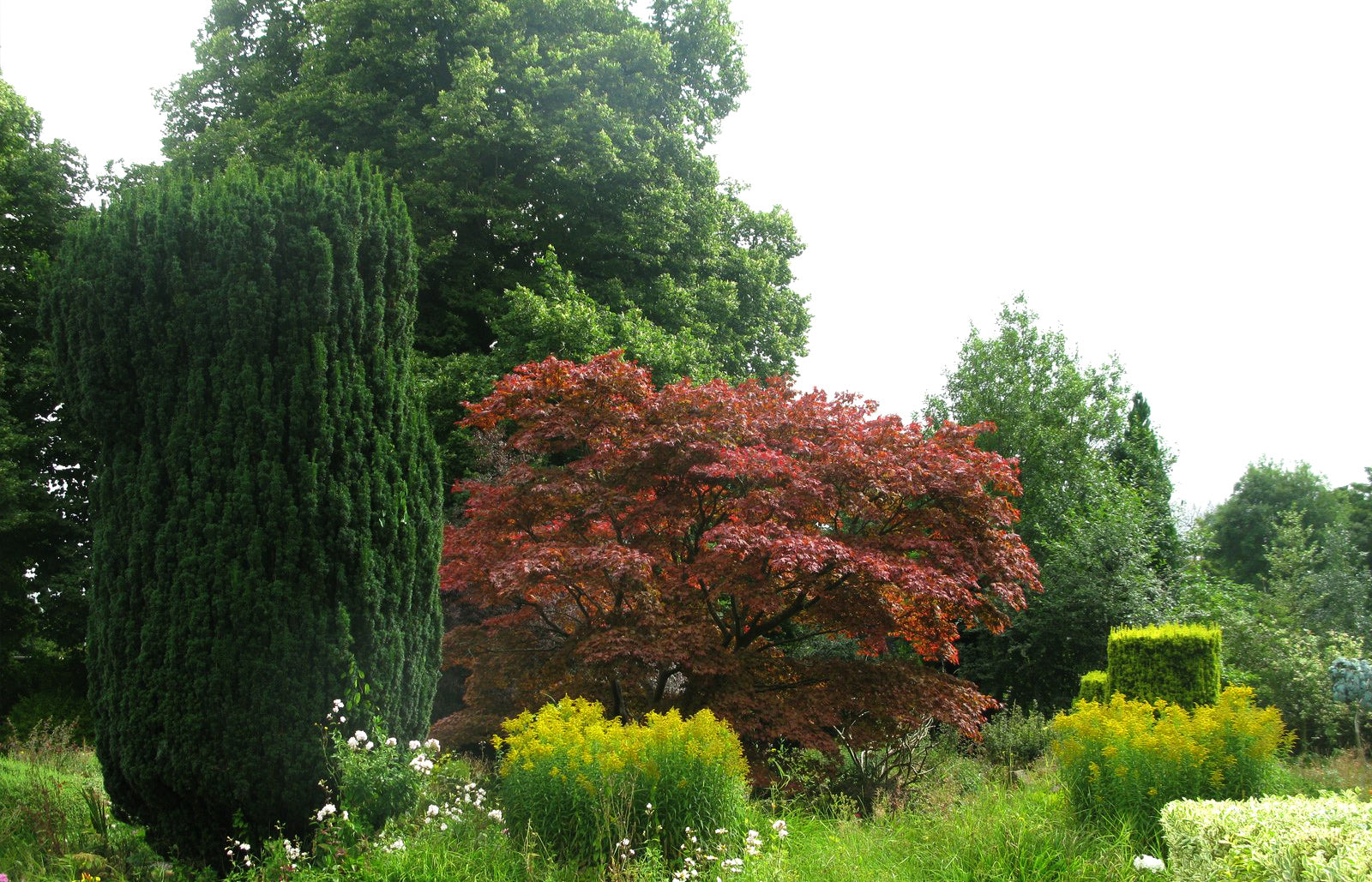 Live With Joy On The Green Platform