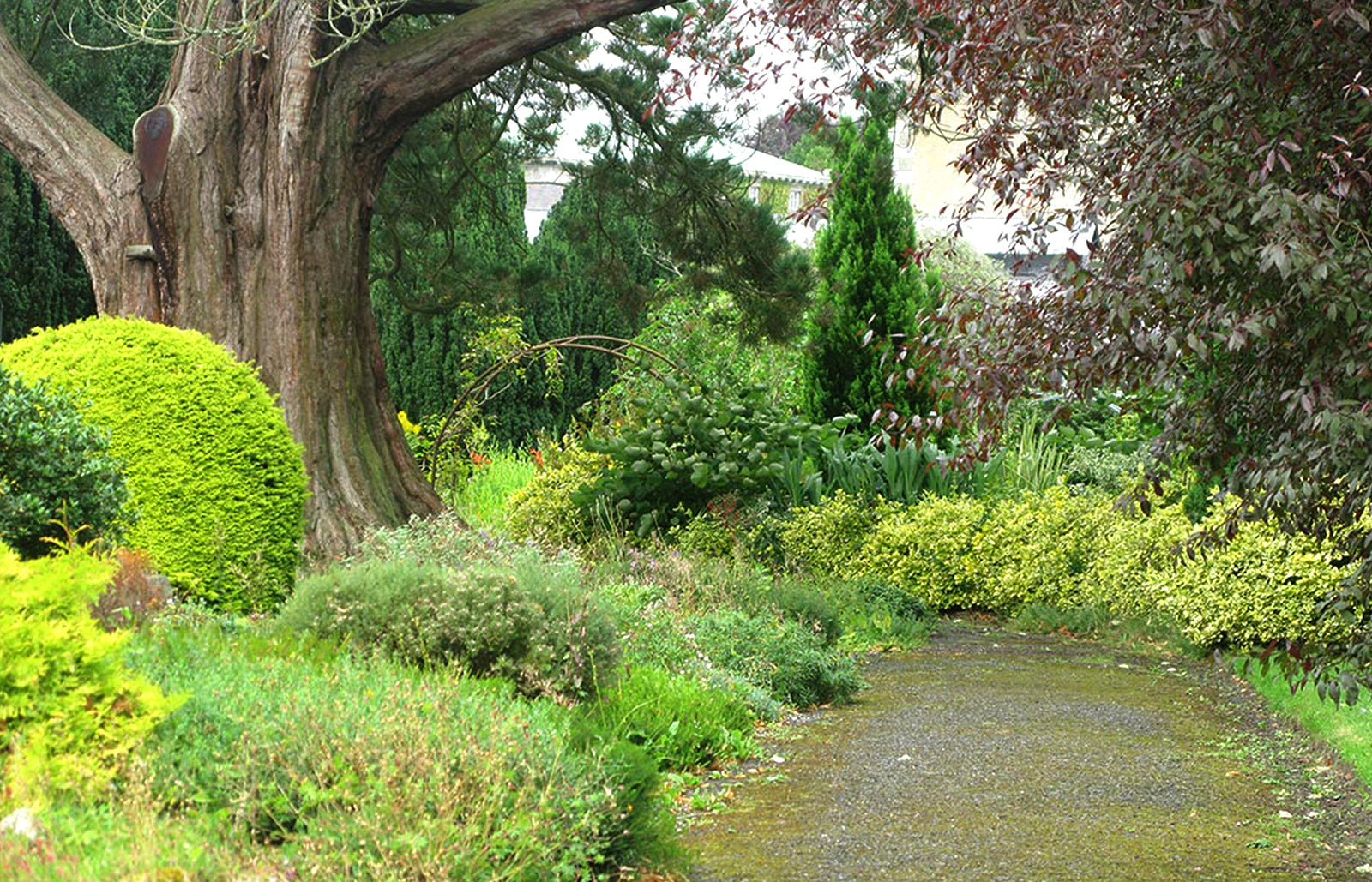 Our Values - The Energy Batteries Behind Our Dreams