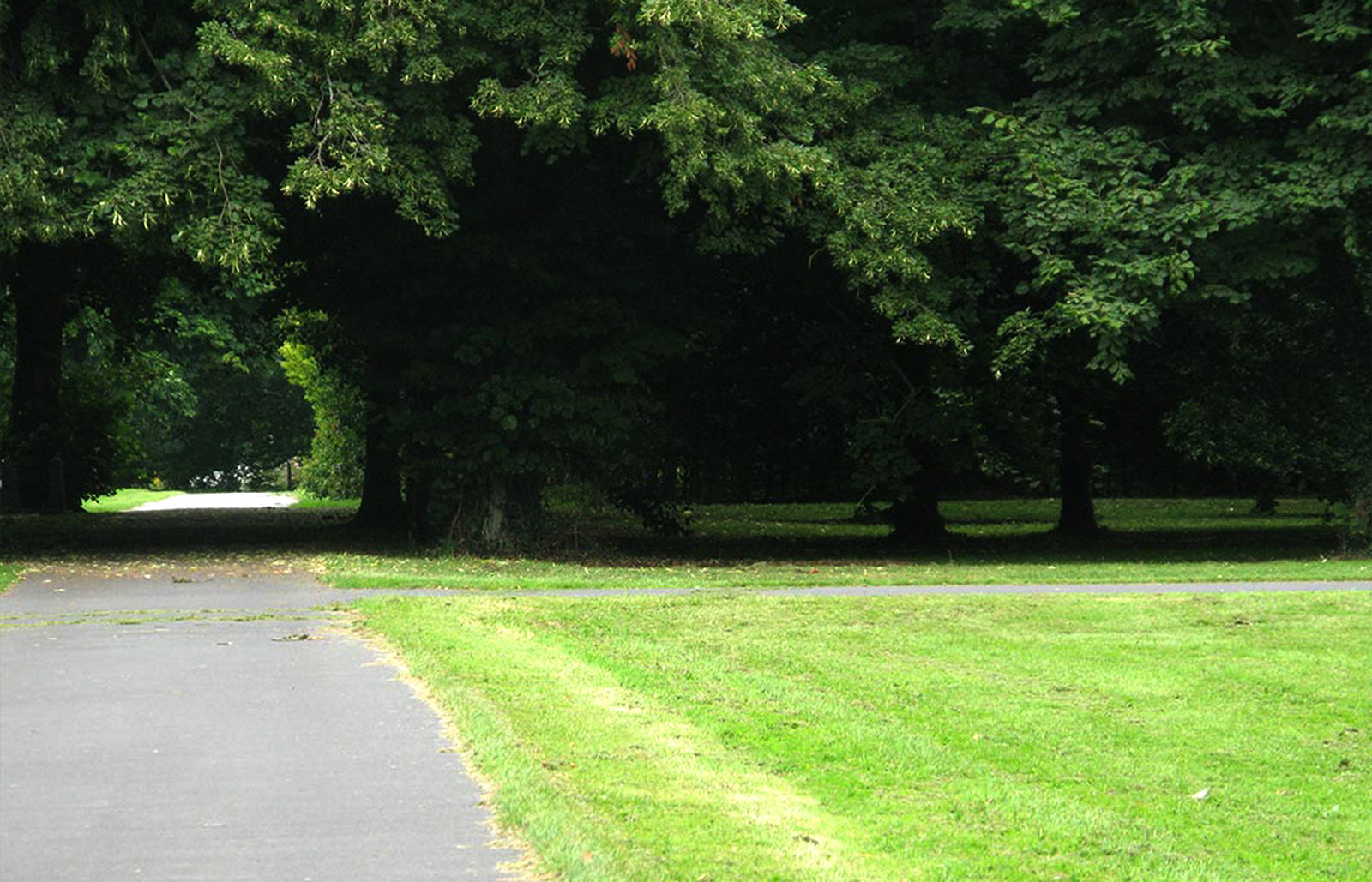 The Art of Delegation - A Powerful Green Platform Tool