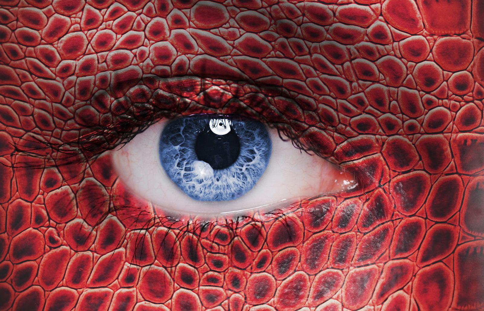 The Dream Killing Dragon