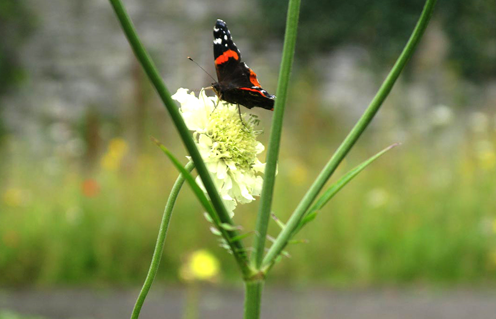 Don't Just Think It, INK IT!